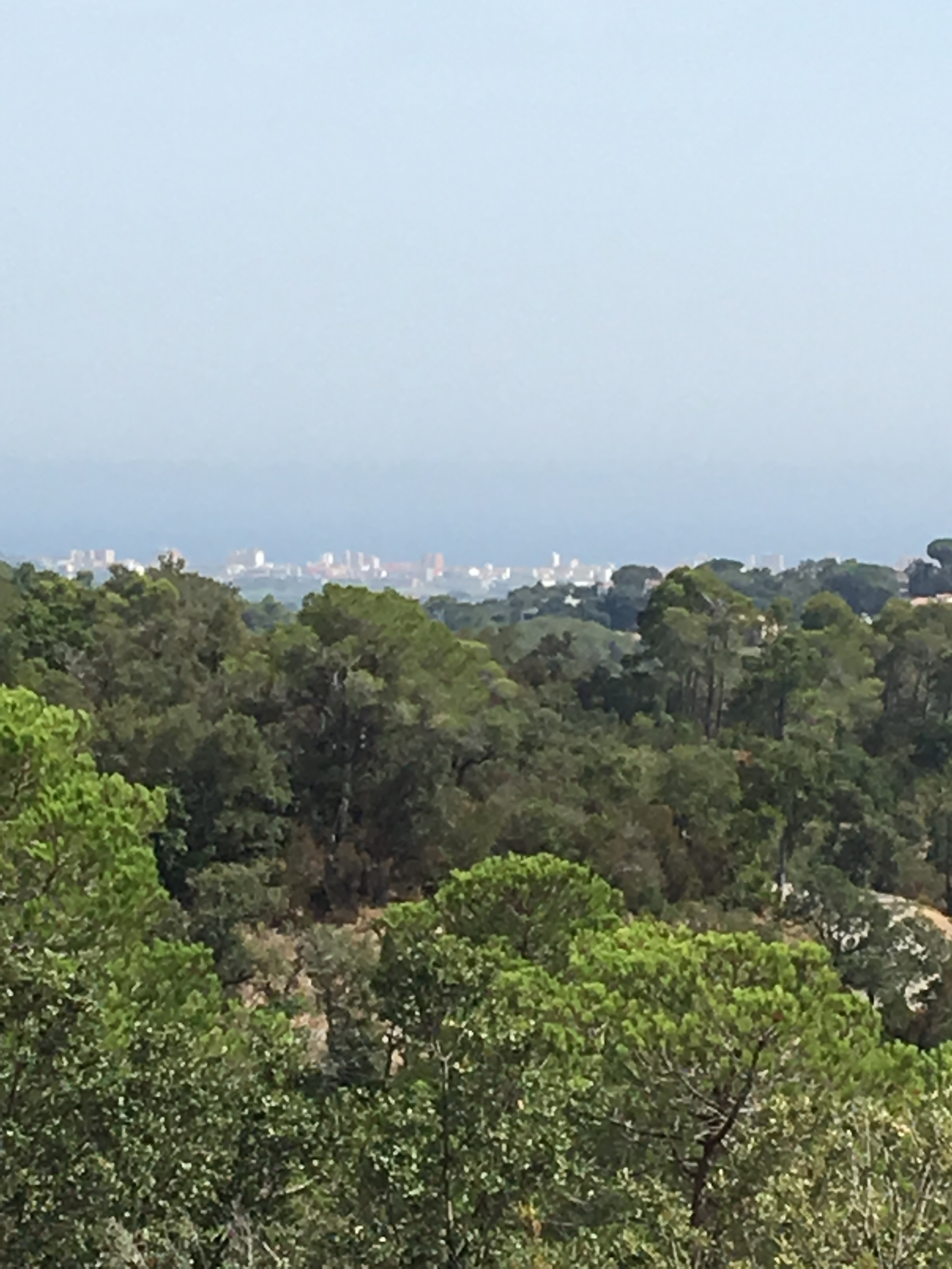 2017-08-03 16.14.00.jpg