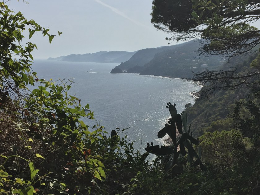 2017-08-03 17.16.25.jpg