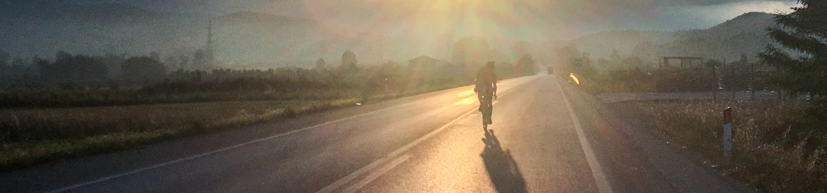 Stray dogs in Ultra Races – Some ideas from a rider who doesn’t cuddle&nbsp;dogs